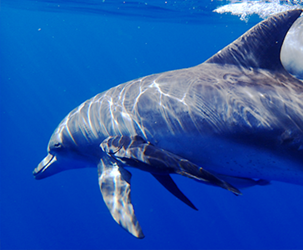 スピリチュアルカウンセリング